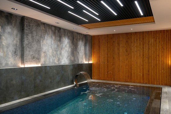 Red Dog Casino 50 Free Spins