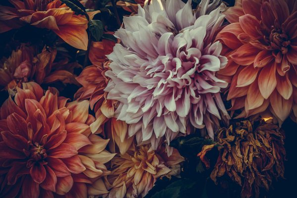 Top 10 Casino En Ligne Belgique