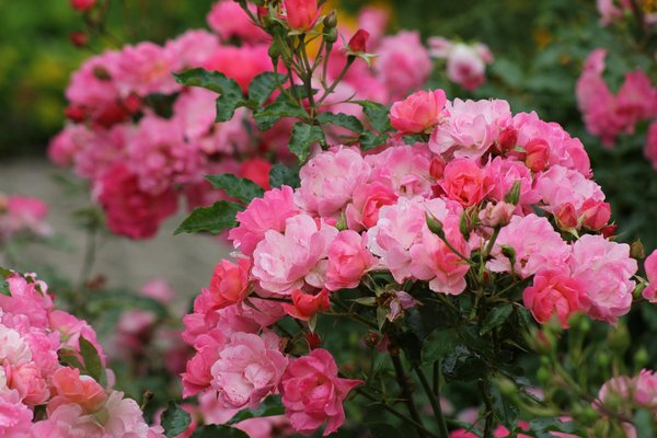 Roulette Facile à Gagner