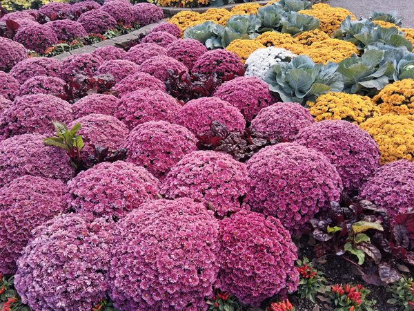 Lucky Treasure Casino 50 Free Spins