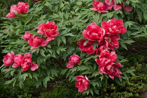 Les Différents Jeux De Casino