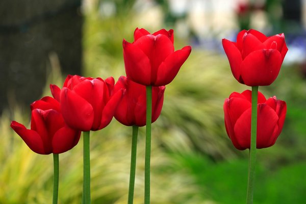 Roulette En Ligne Gratuits Pas D Argent