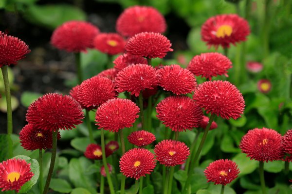 Dépôt De Casino En Ligne 1 Euro Bonus